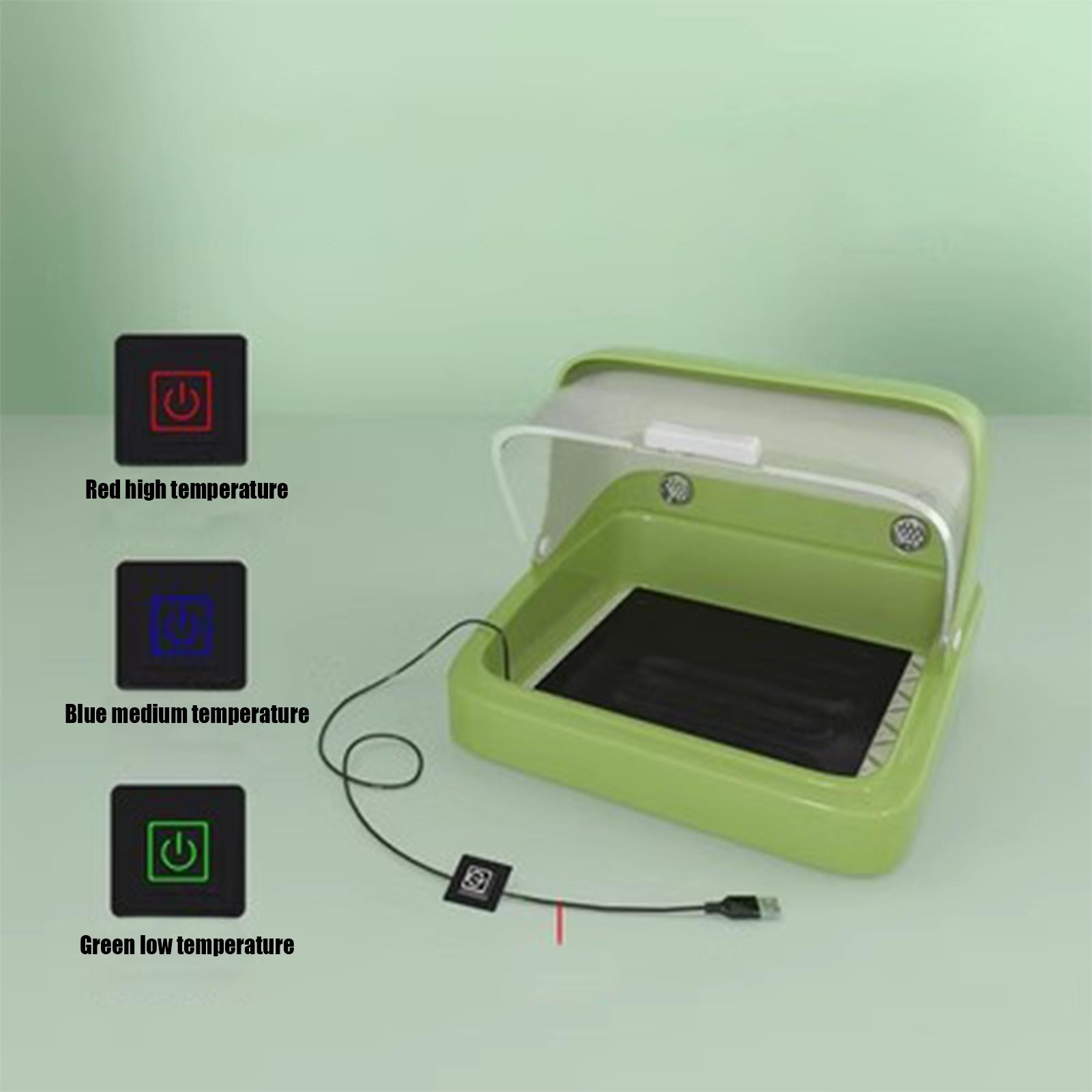 2025 Pulcini per bambini Allev - Lab Incubator recensione e prezzo